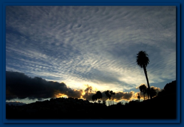 602x406 pixels (65K)