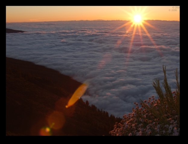 602x457 pixels (142K)