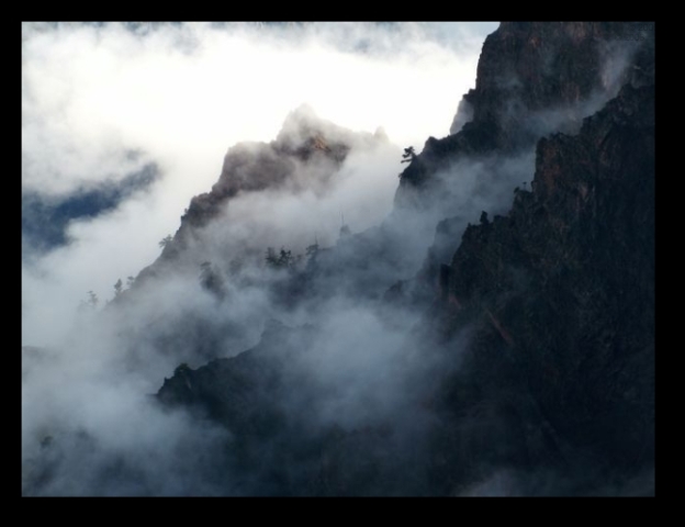 602x457 pixels (109K)