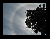 QUINTO PUESTO
Título: Halo
Lugar: Sta. Cruz de la Palma
Autor: Tomás Vento
Votos: 72