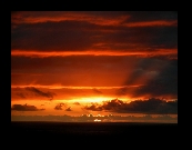 DÉCIMO PUESTO
Título: Ocaso
Autor: José Luis Hernández
Puntos: 40