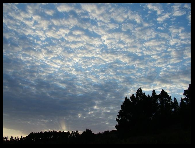 601x450 pixels (187K)